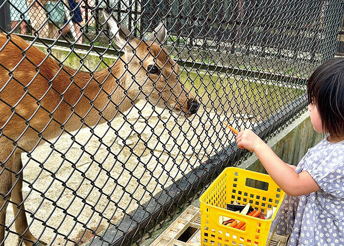 山形の体験 河北町児童動物園