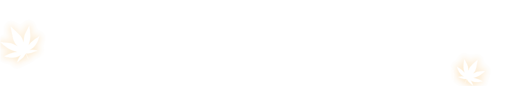 魅力満載の秋動画