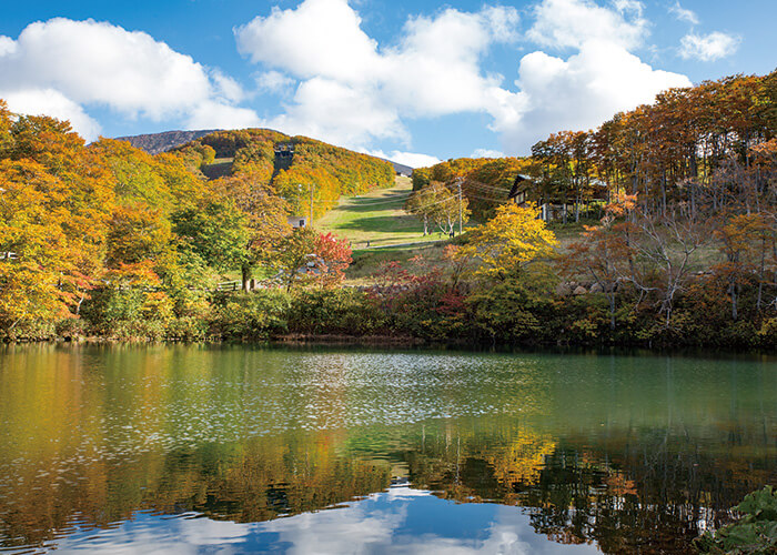 山形の自然 ドッコ沼