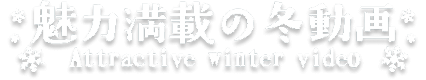 魅力満載の冬動画